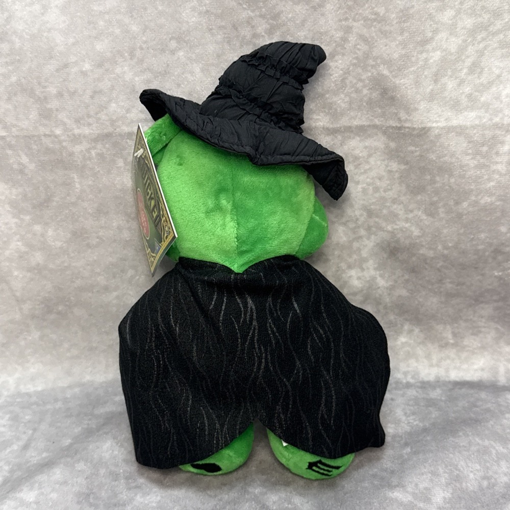 Wicked x Care Bears Good Luck Bear Plush Elphaba Limited Edition Toy Bear-NEW! - Picture 6 of 9